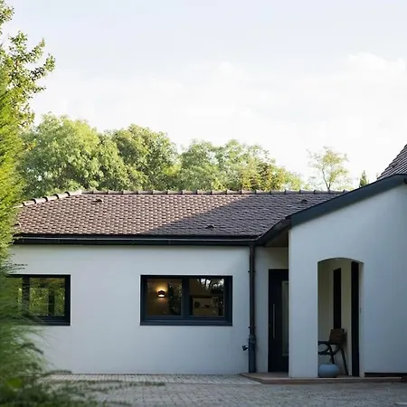 Maison Contemporaine * Mittelhausbergen